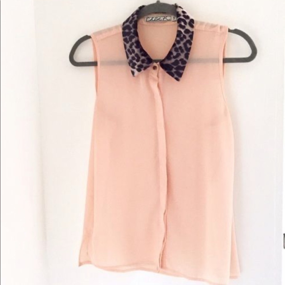 Chloe K Chiffon Velvet Cheetah Polo Collar Blouse